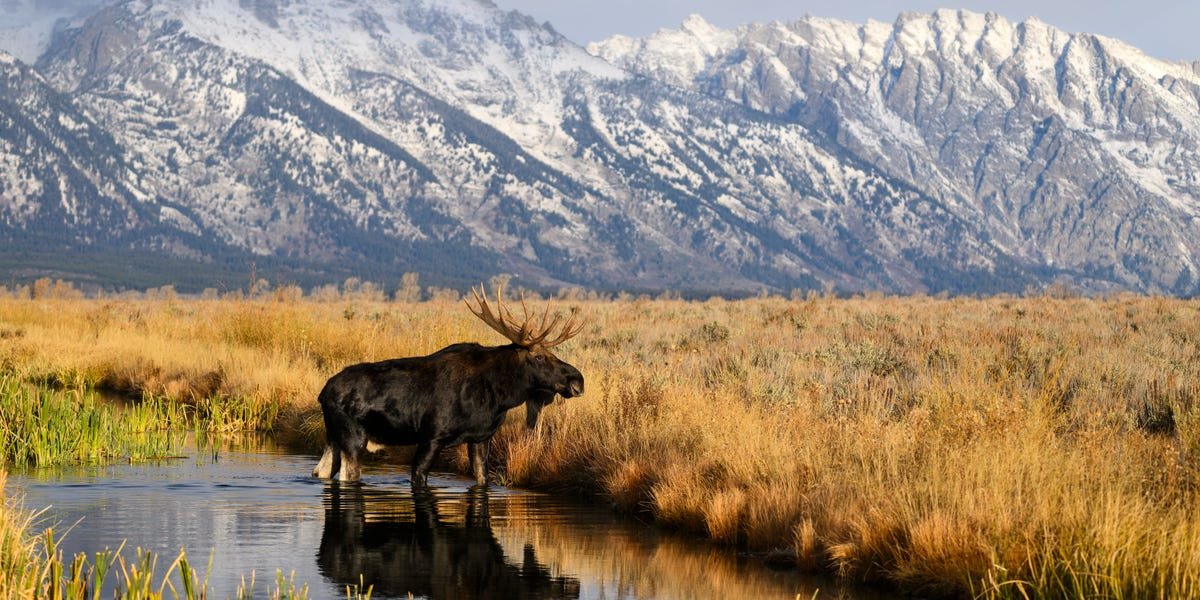 10 Most Visited National Parks Are Open During the Government Shutdown