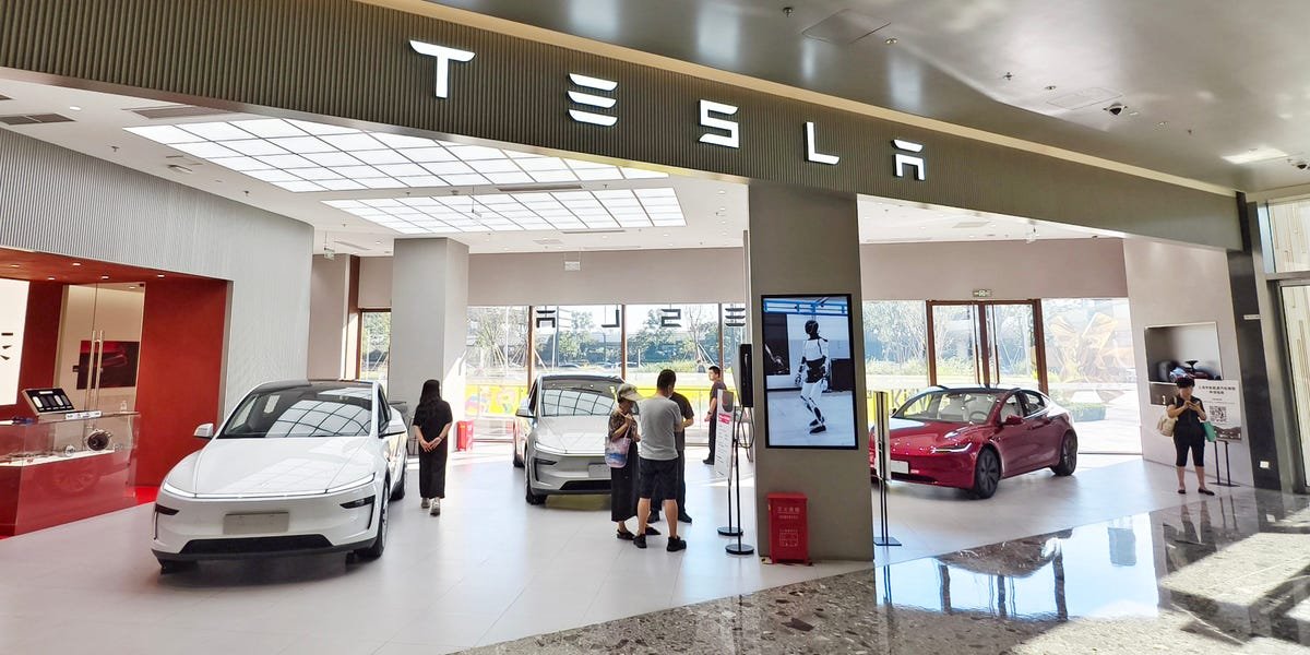 China Car Fans Weigh in on Tesla’s New Affordable Models