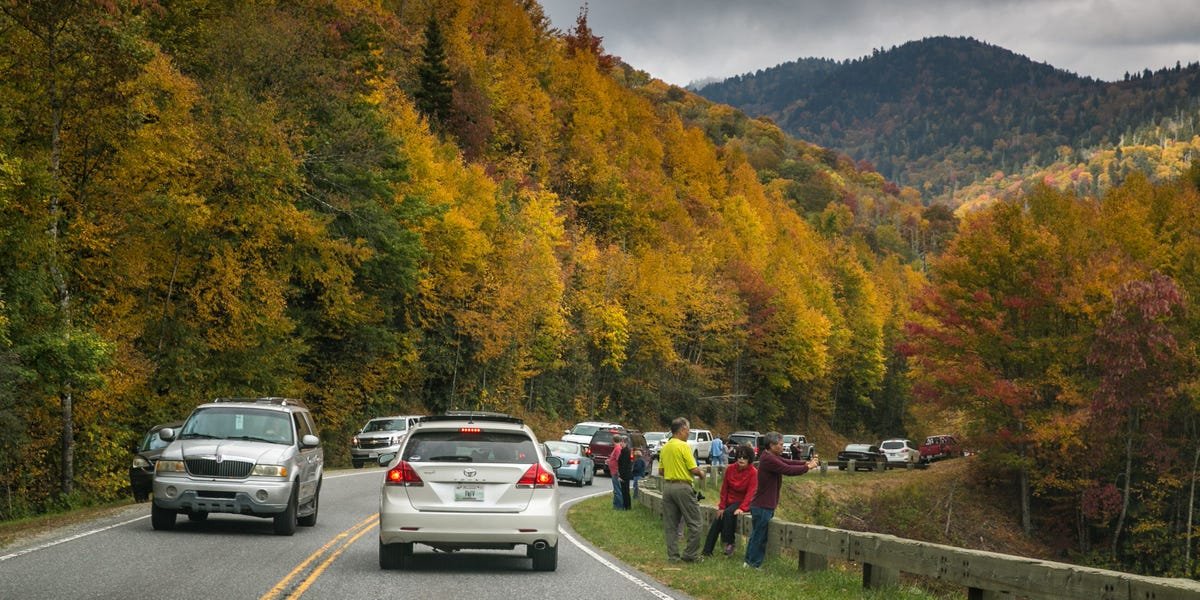 The Most Visited National Park Is Open During the Government Shutdown