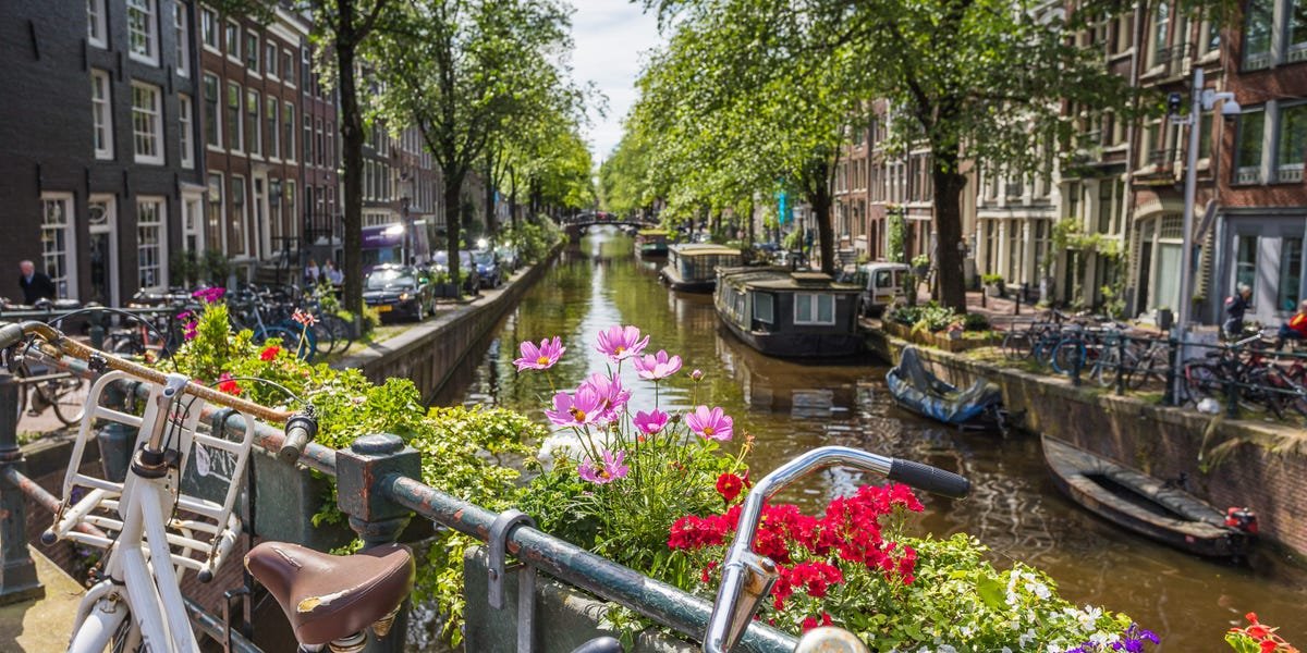 Things You Should Never Do in the Netherlands, Mistakes From Local