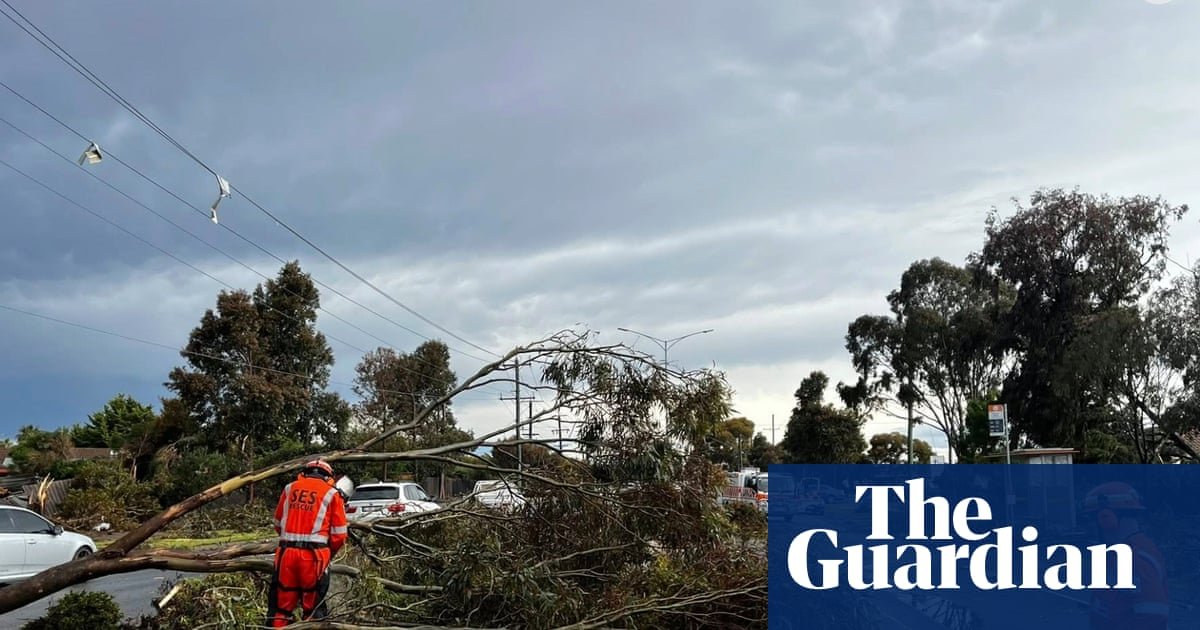 Thousands without power in Queensland as Victoria experiences ‘terrifying’ winds after year’s wettest day | Australia weather