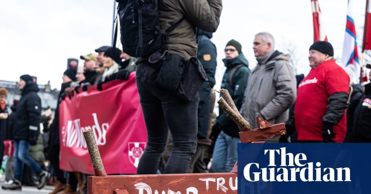 Western Europeans turning against US after Greenland threat, poll finds | Europe