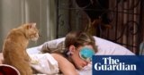 Purr-fect casting: is Orangey the most important movie cat ever? | Movies